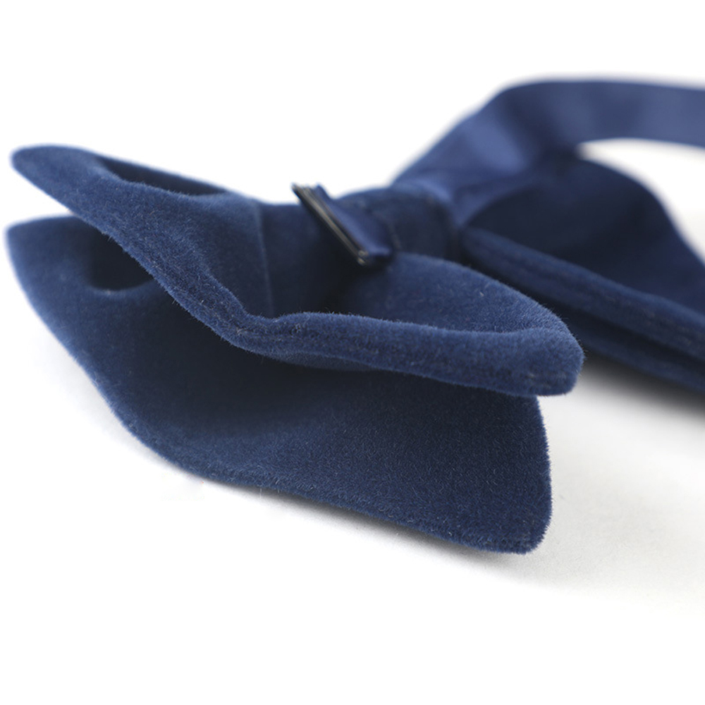 Mannen Bruiloft Effen Formele  - Men Formal Wear With Tie recensie en prijs