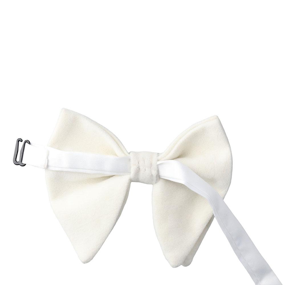 Mannen Bruiloft Effen Formele  - Men Formal Wear With Tie recensie en prijs